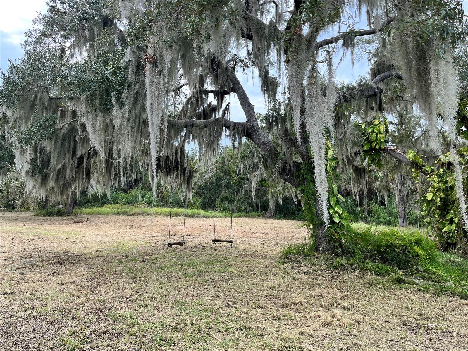 Image 5 of 9 For 6715 16th Avenue E