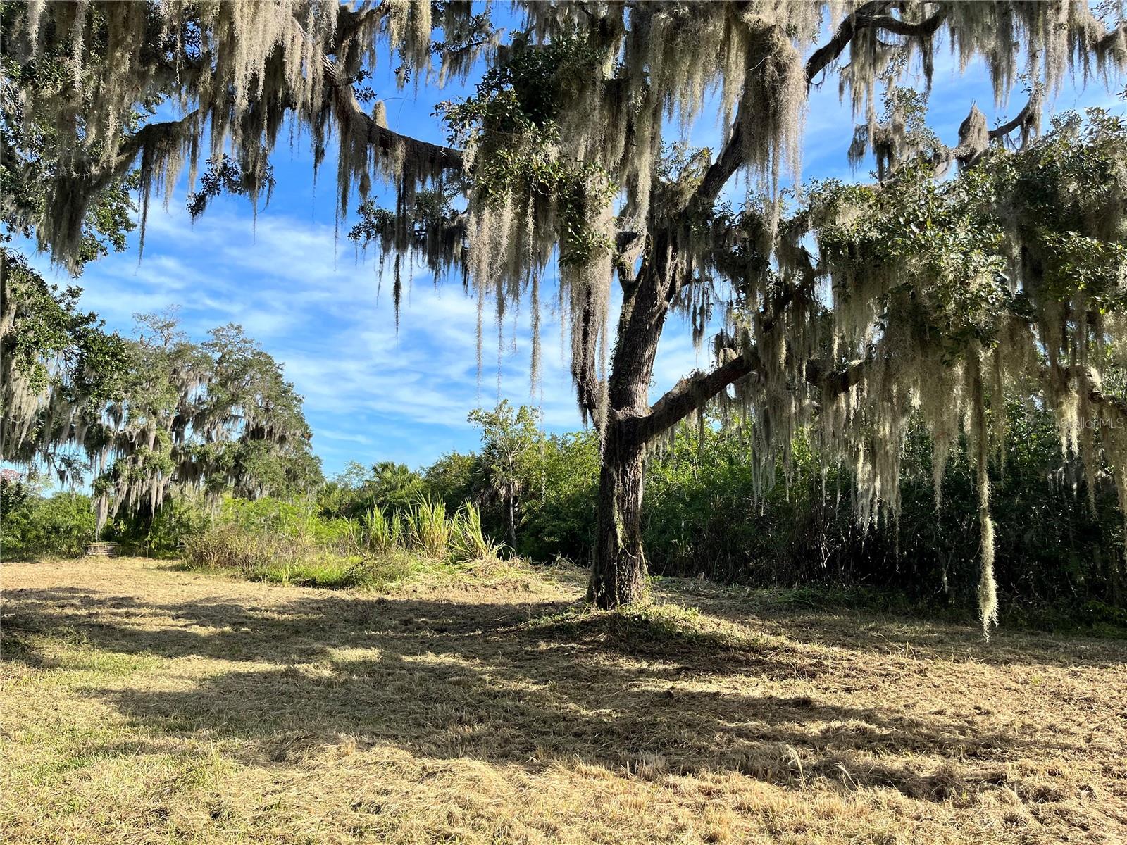 Image 6 of 9 For 6715 16th Avenue E