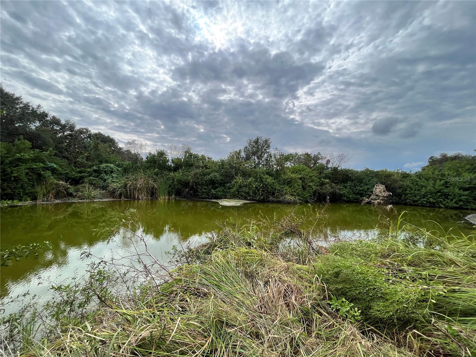 Image 7 of 9 For 6715 16th Avenue E