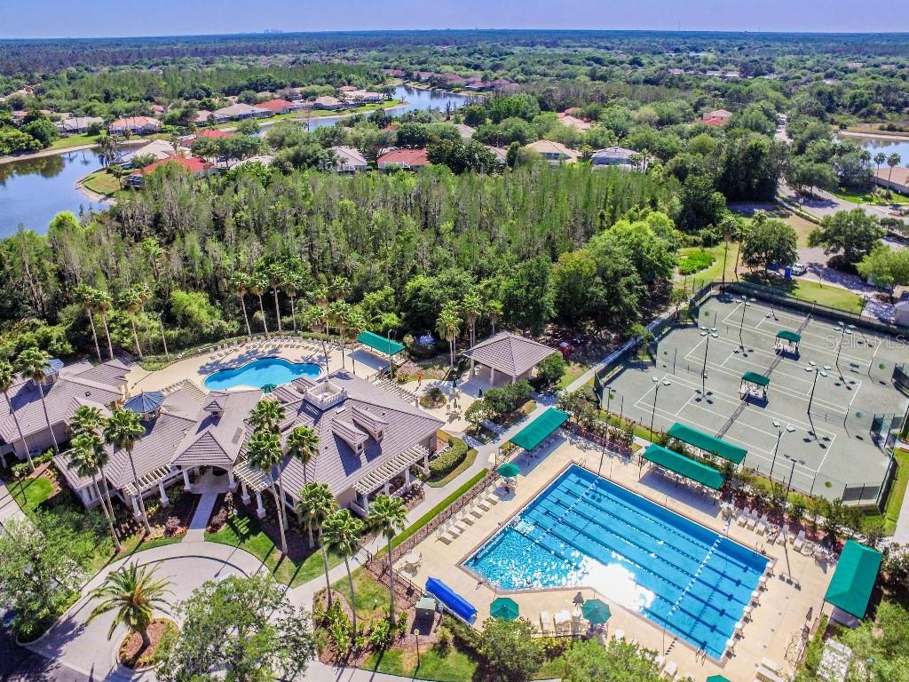 Image 48 of 50 For 17923 Arbor Haven Drive