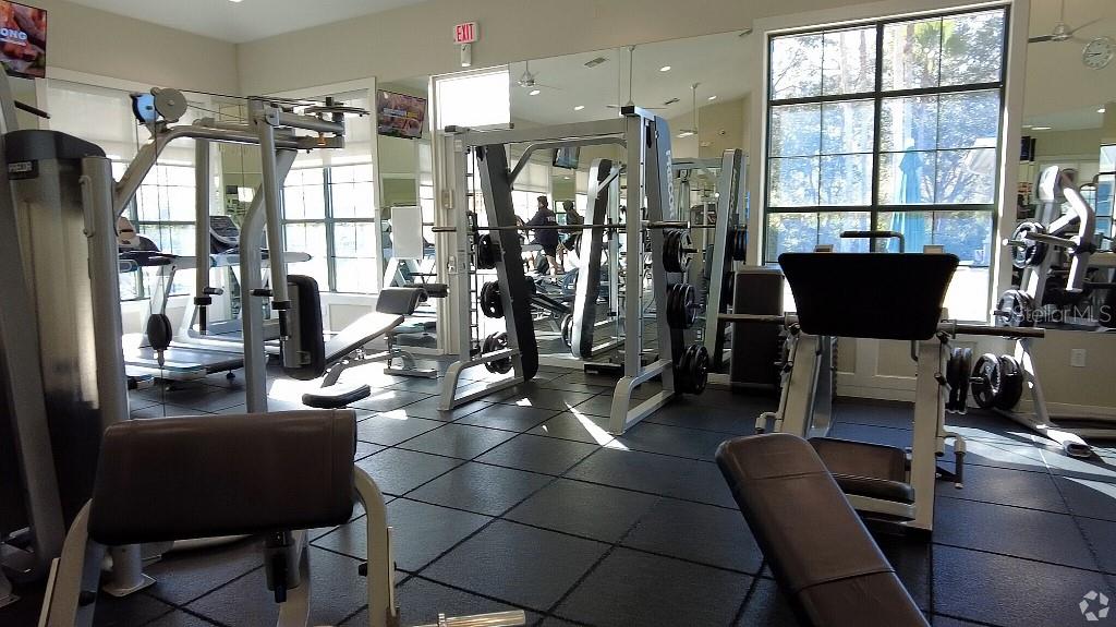 Image 49 of 50 For 17923 Arbor Haven Drive