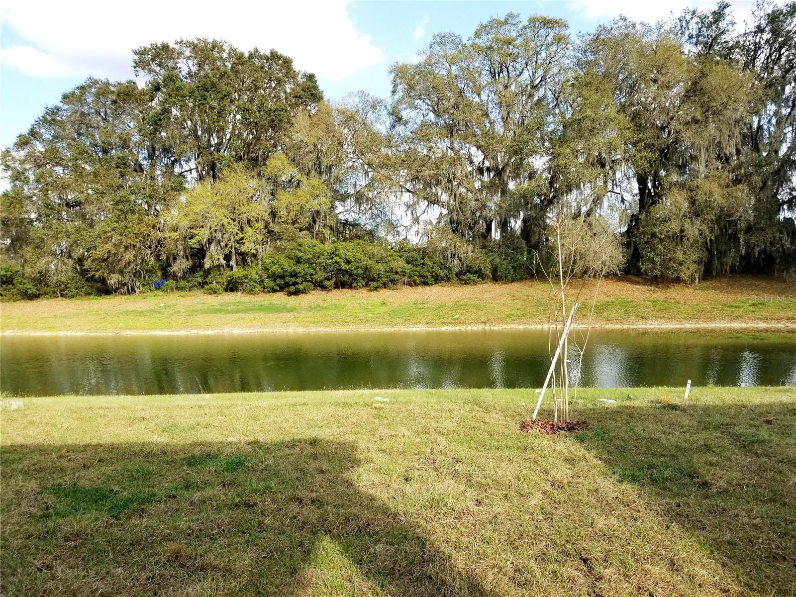 Image 3 of 36 For 4923 Rolling Green Drive