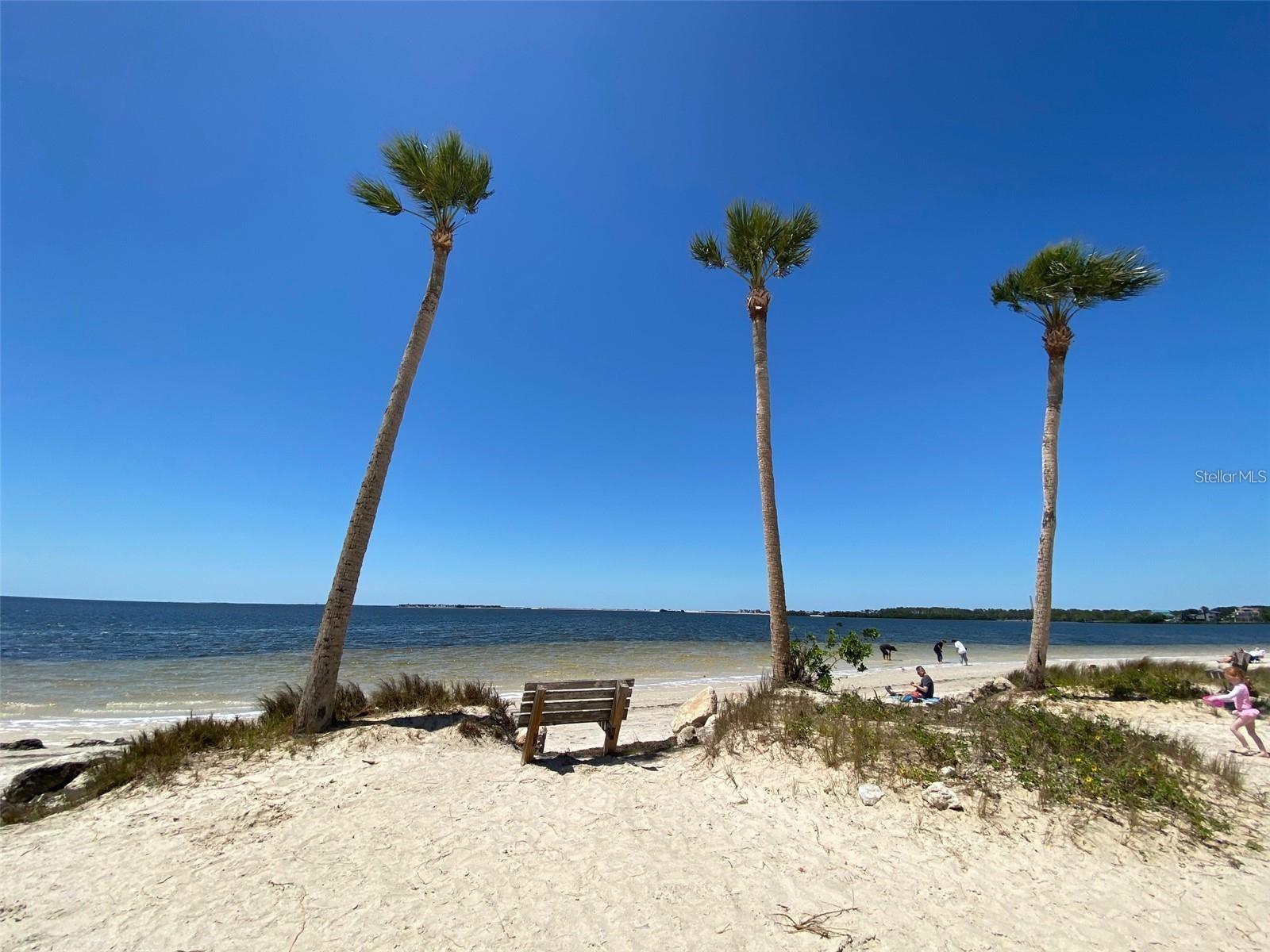 Image 32 of 38 For 656 Windrush Bay Drive 656