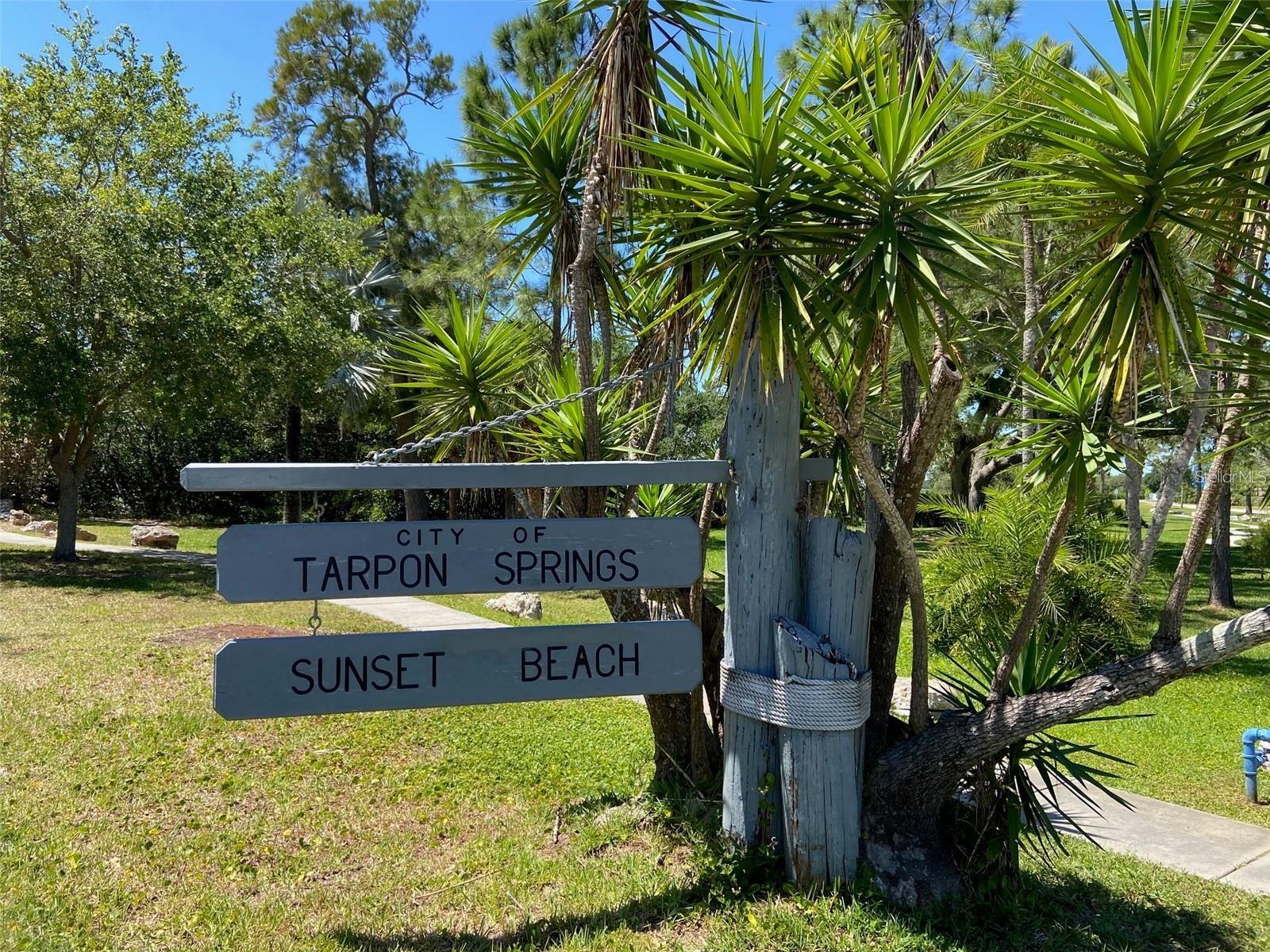 Image 33 of 38 For 656 Windrush Bay Drive 656