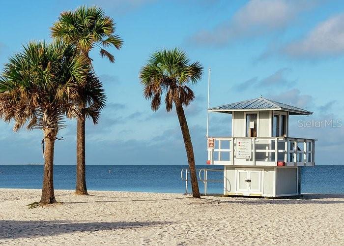 Image 27 of 50 For 654 Windrush Bay Drive 654