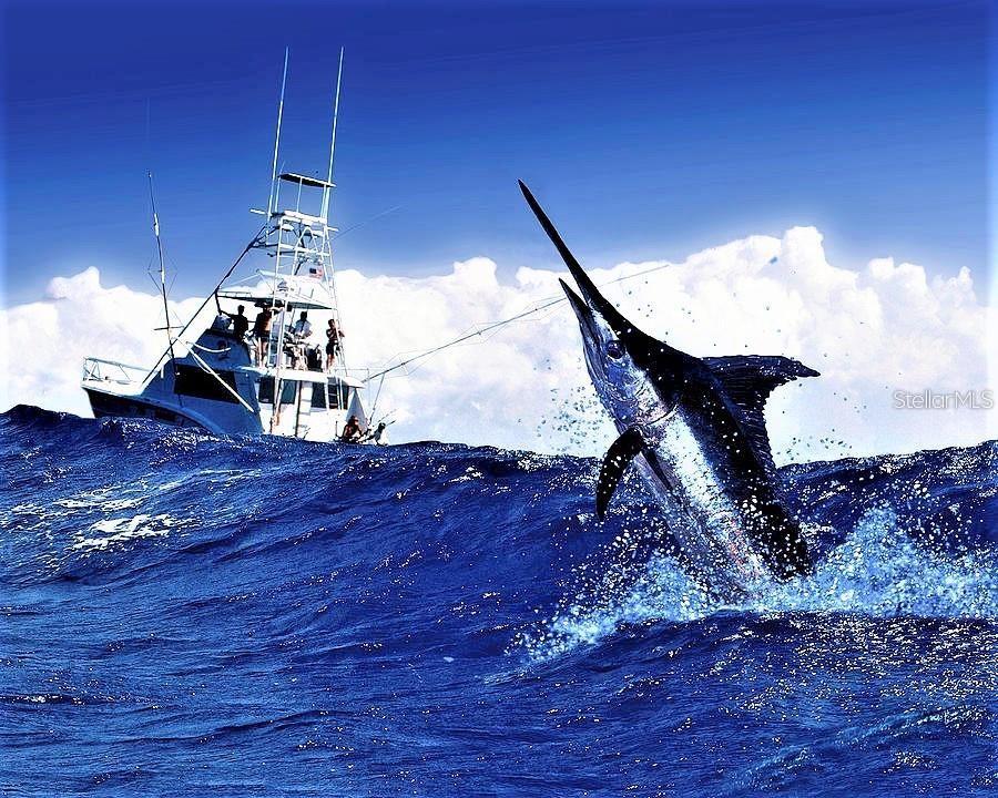 Image 44 of 47 For 4406 Wyoming Avenue