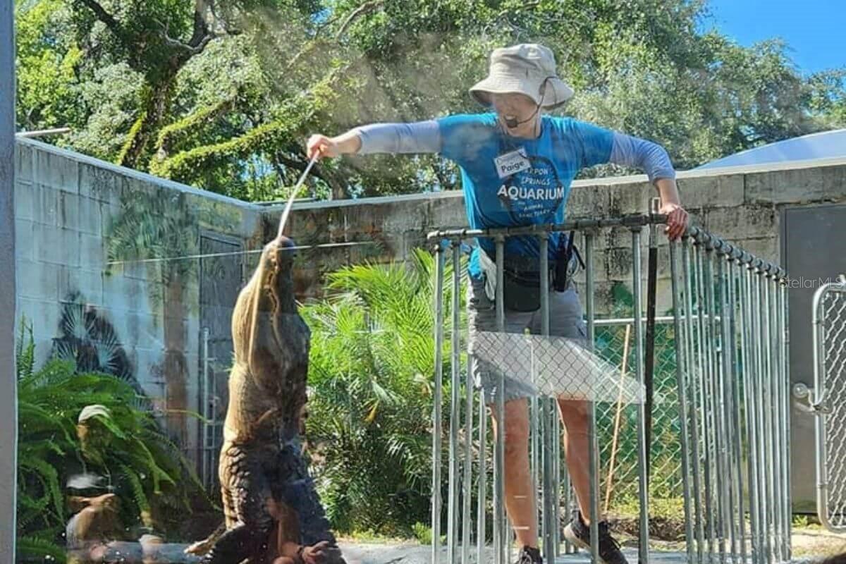 Image 19 of 24 For 9981 Eagles Point Circle 4