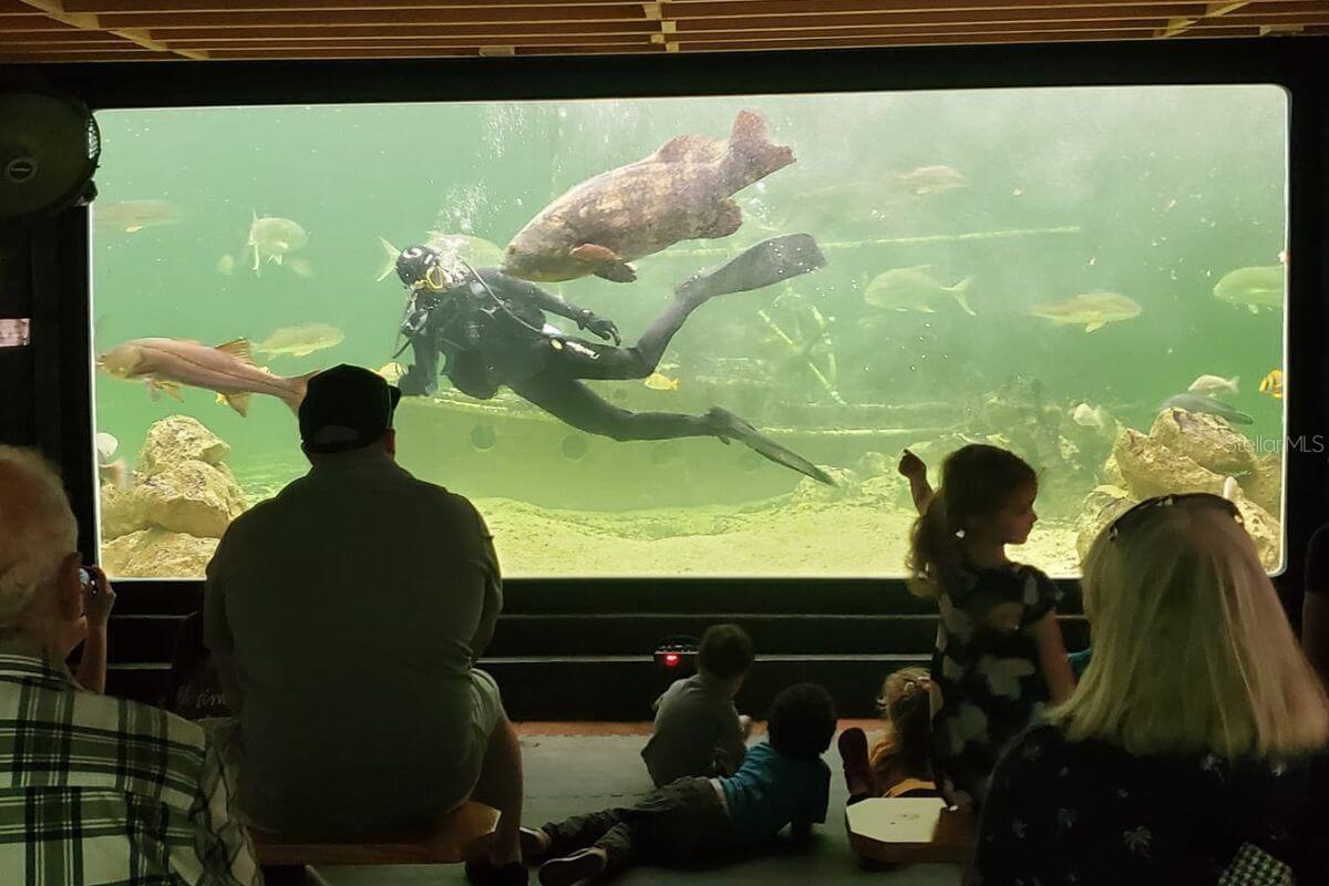 Image 20 of 24 For 9981 Eagles Point Circle 4