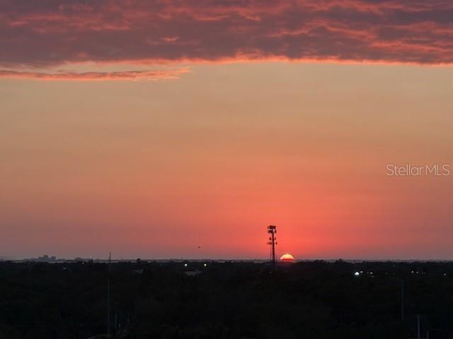 Image 25 of 31 For 4015 Bayshore Boulevard 9d