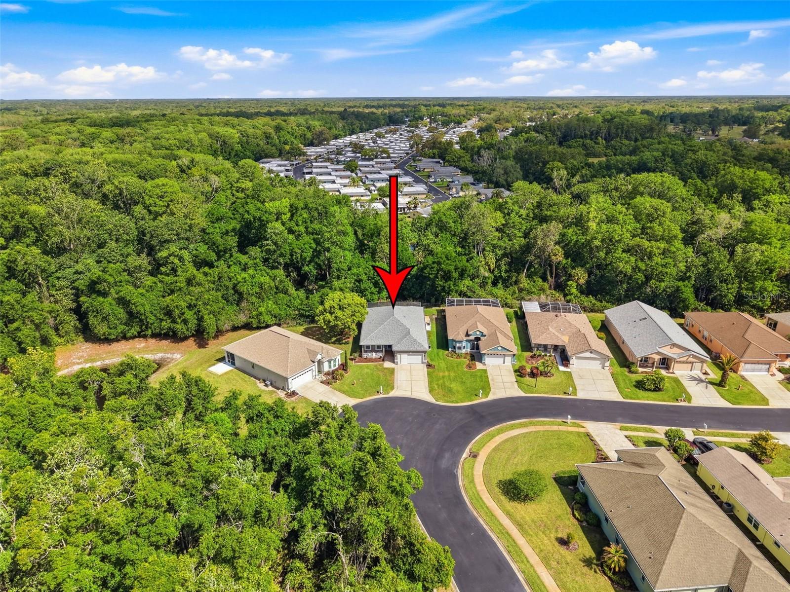 Image 66 of 95 For 11303 Clear Oak Circle