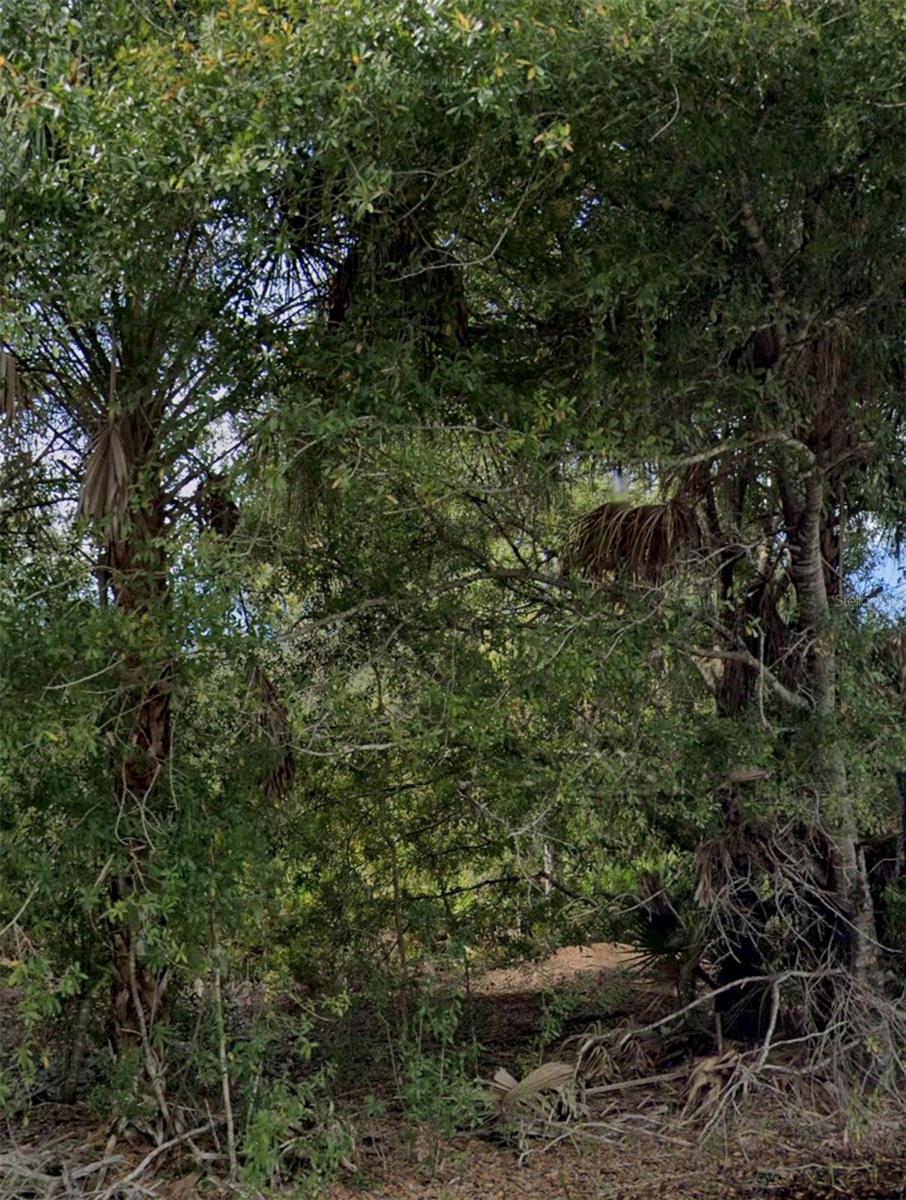 Details for 3439 Tiffiny Street, PUNTA GORDA, FL 33980