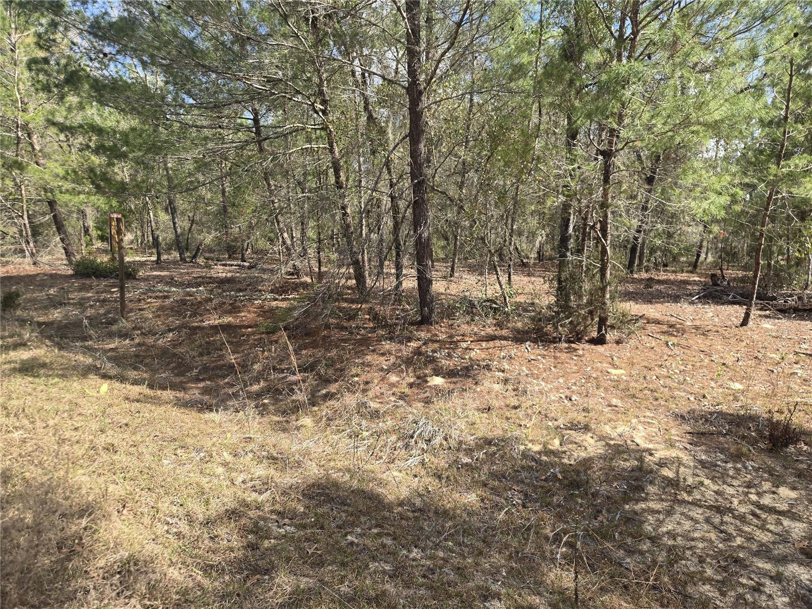 Image 12 of 12 For 206 Wales Street