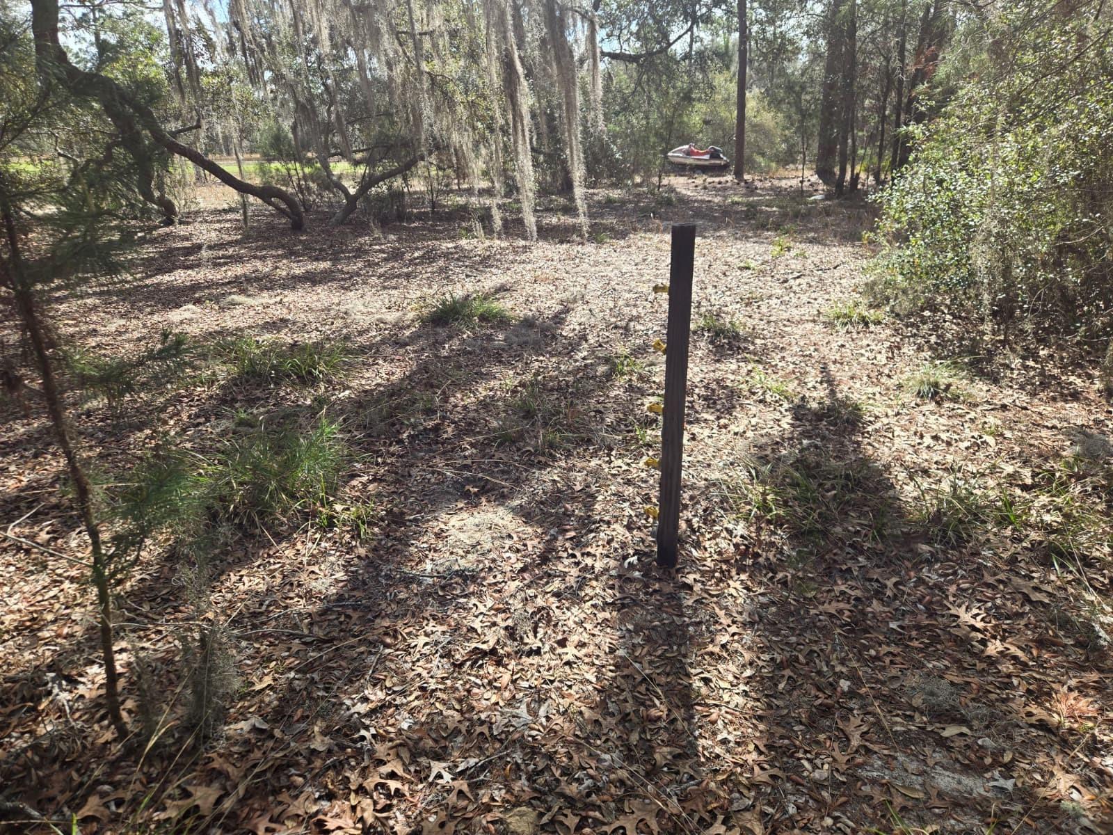 Image 7 of 12 For 206 Wales Street