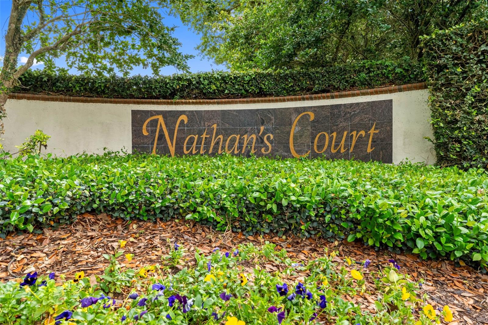 Details for 17648 Nathans Drive, TAMPA, FL 33647