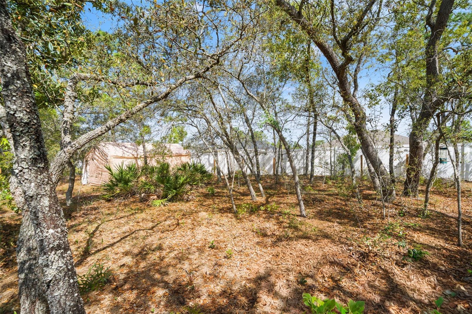 Image 34 of 39 For 12015 Phoenix Avenue