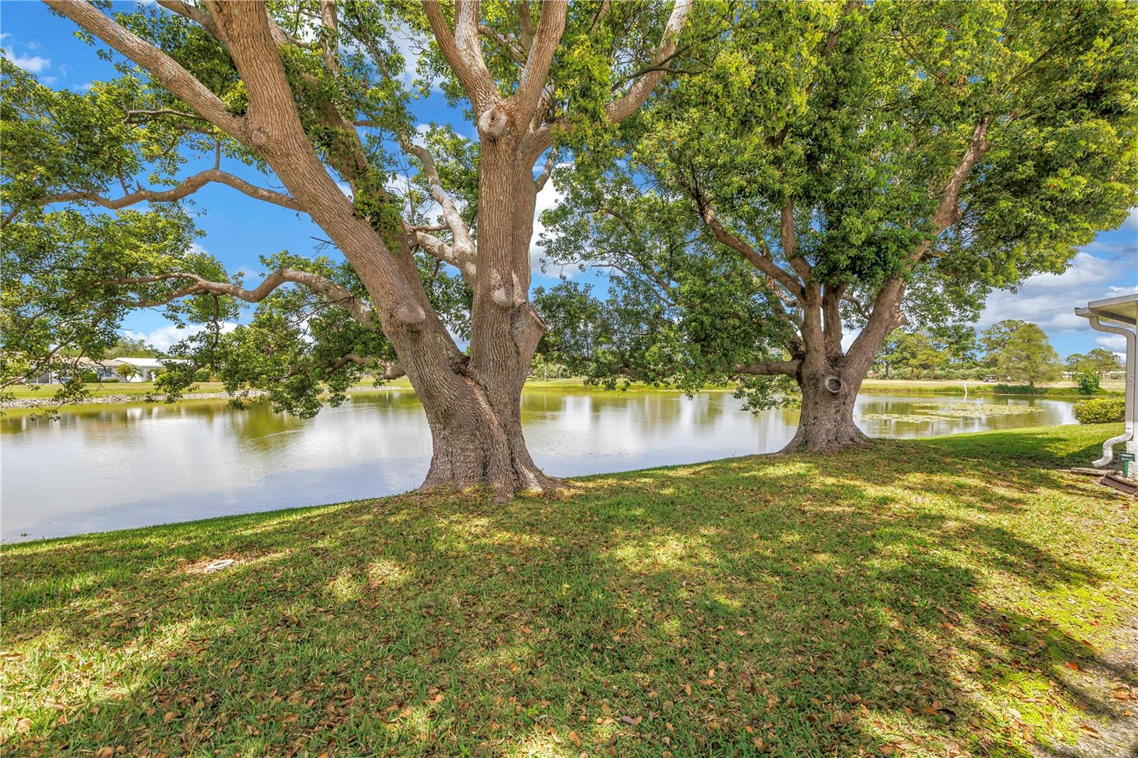 Image 10 of 48 For 9210 40th Street N