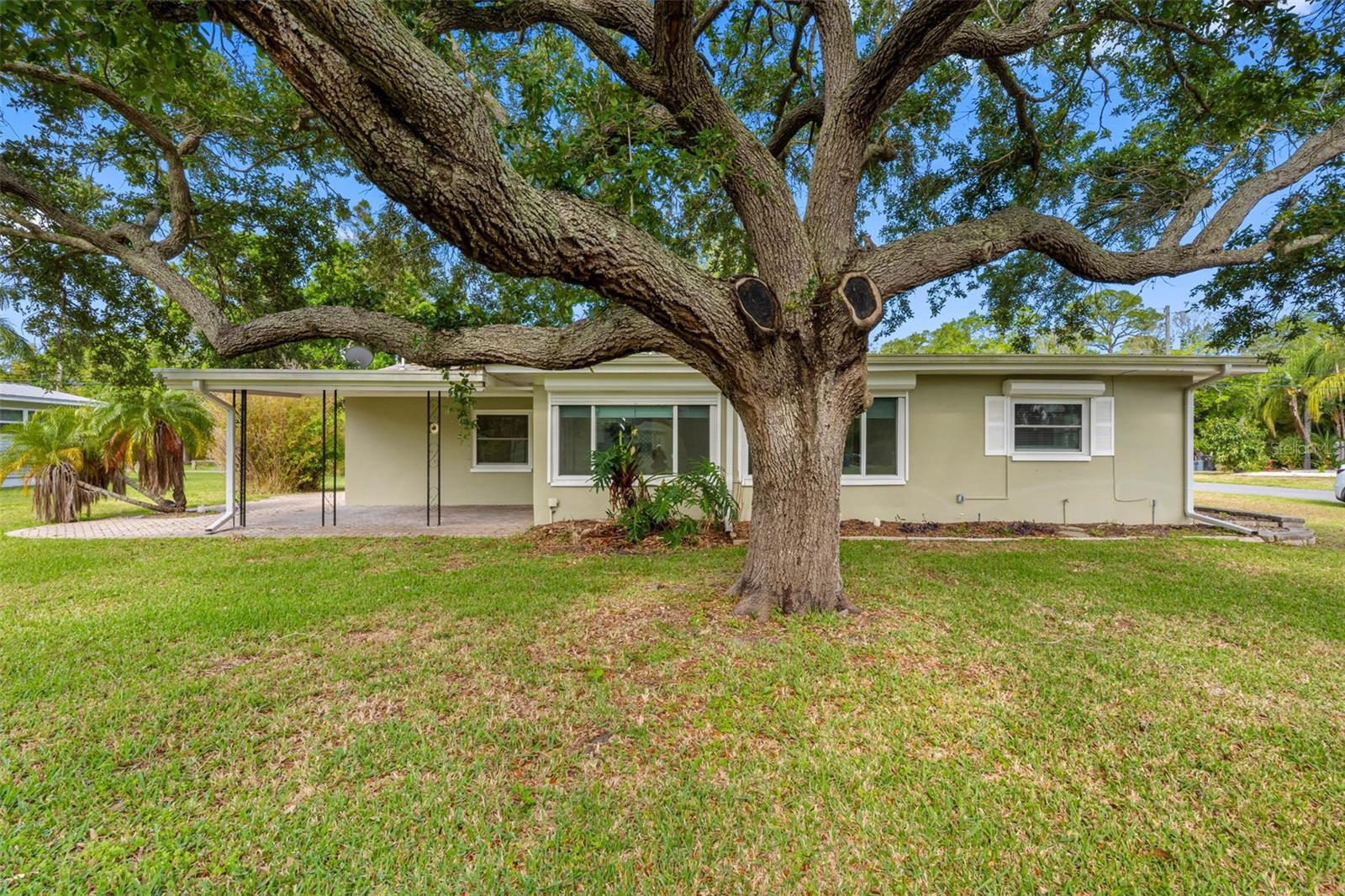 Listing photo id 37 for 624 Orange Street