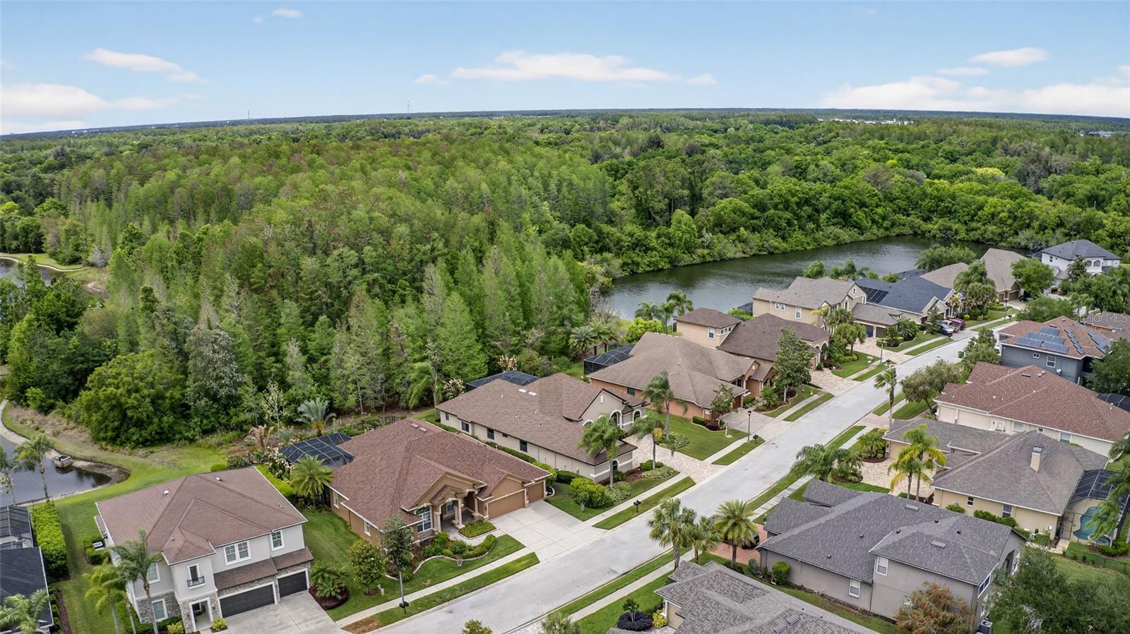 Listing photo id 64 for 1607 Abyss Drive