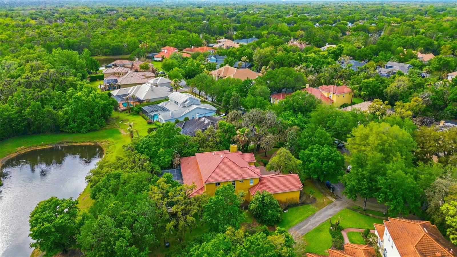 Listing photo id 30 for 6121 Avocetridge Drive