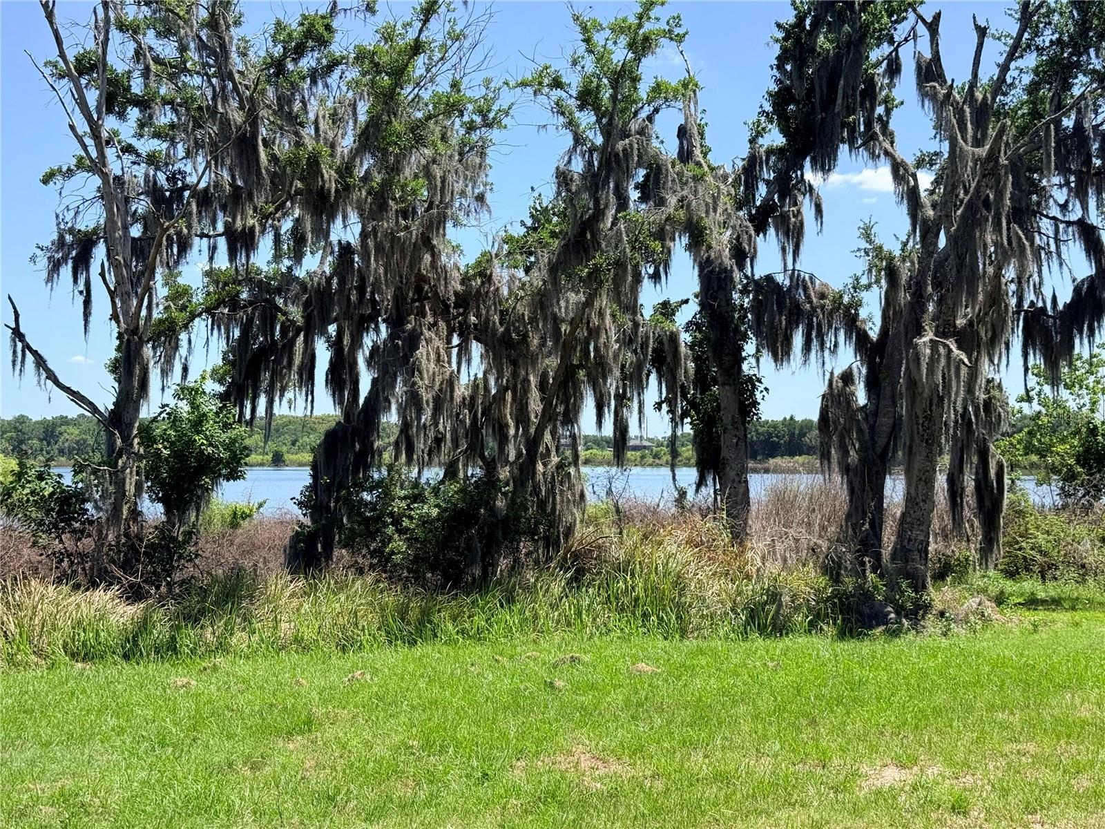 Listing photo id 8 for 9028 Mckendree Road