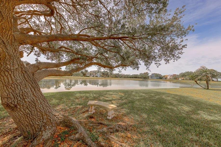 Image 72 of 100 For 2106 Pelican Court