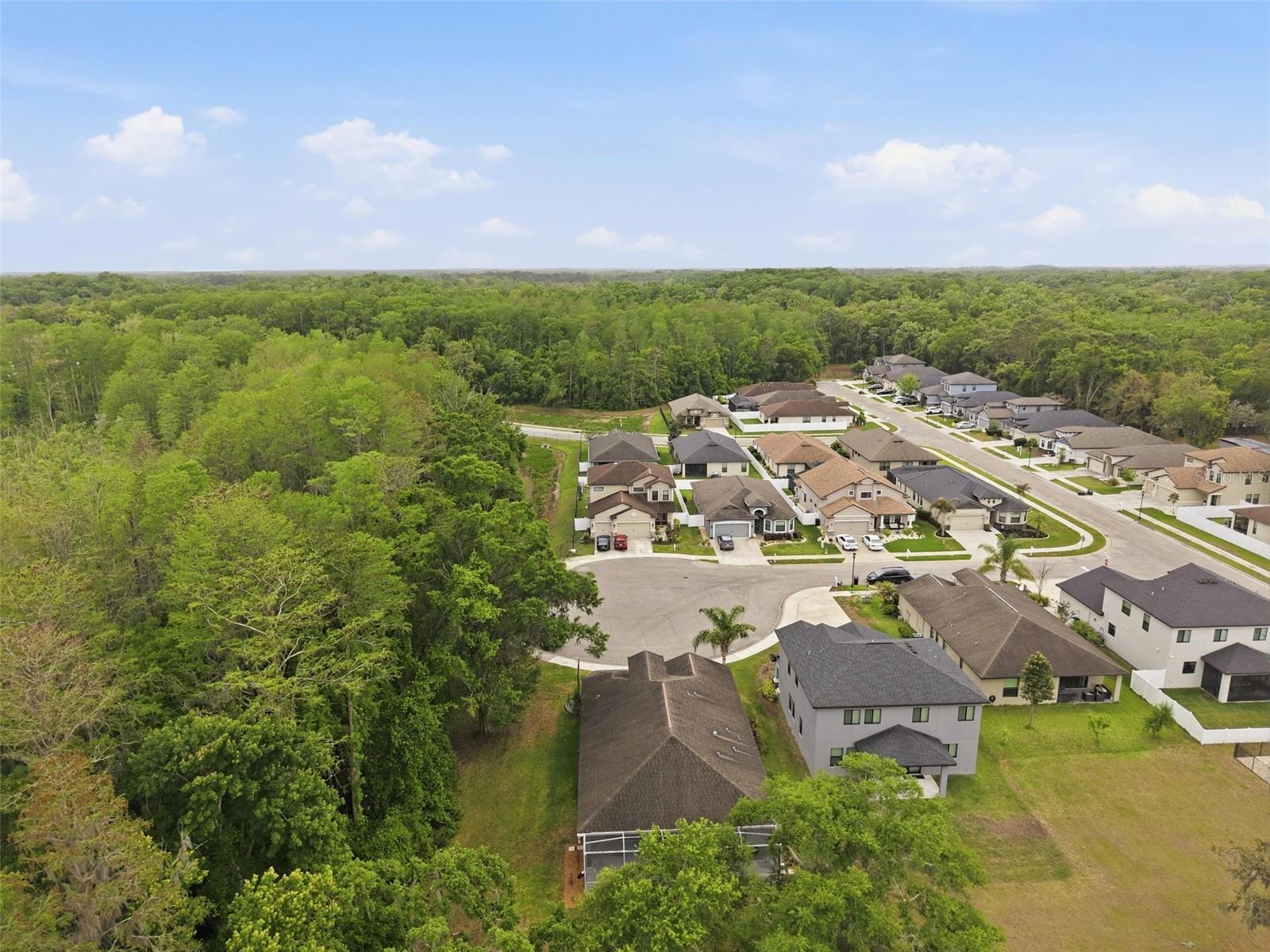 Image 56 of 64 For 12417 Coralbean Court