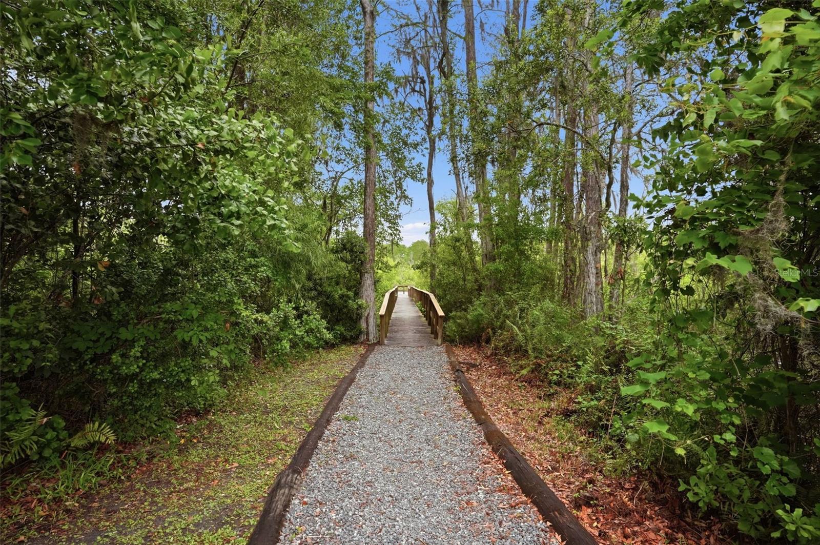 Image 57 of 64 For 12417 Coralbean Court