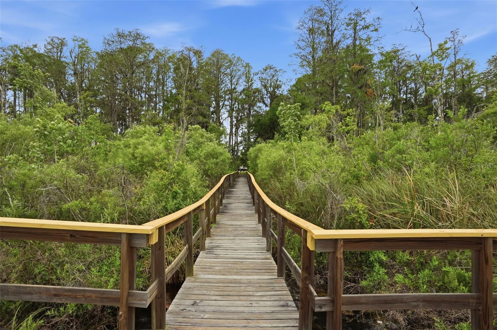 Image 58 of 64 For 12417 Coralbean Court