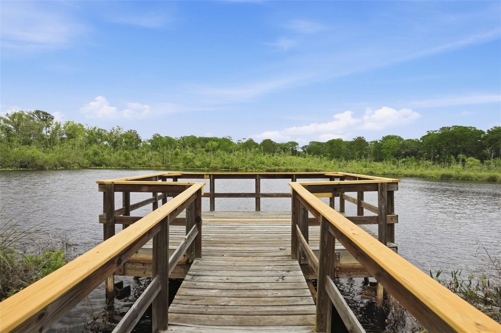 Image 59 of 64 For 12417 Coralbean Court
