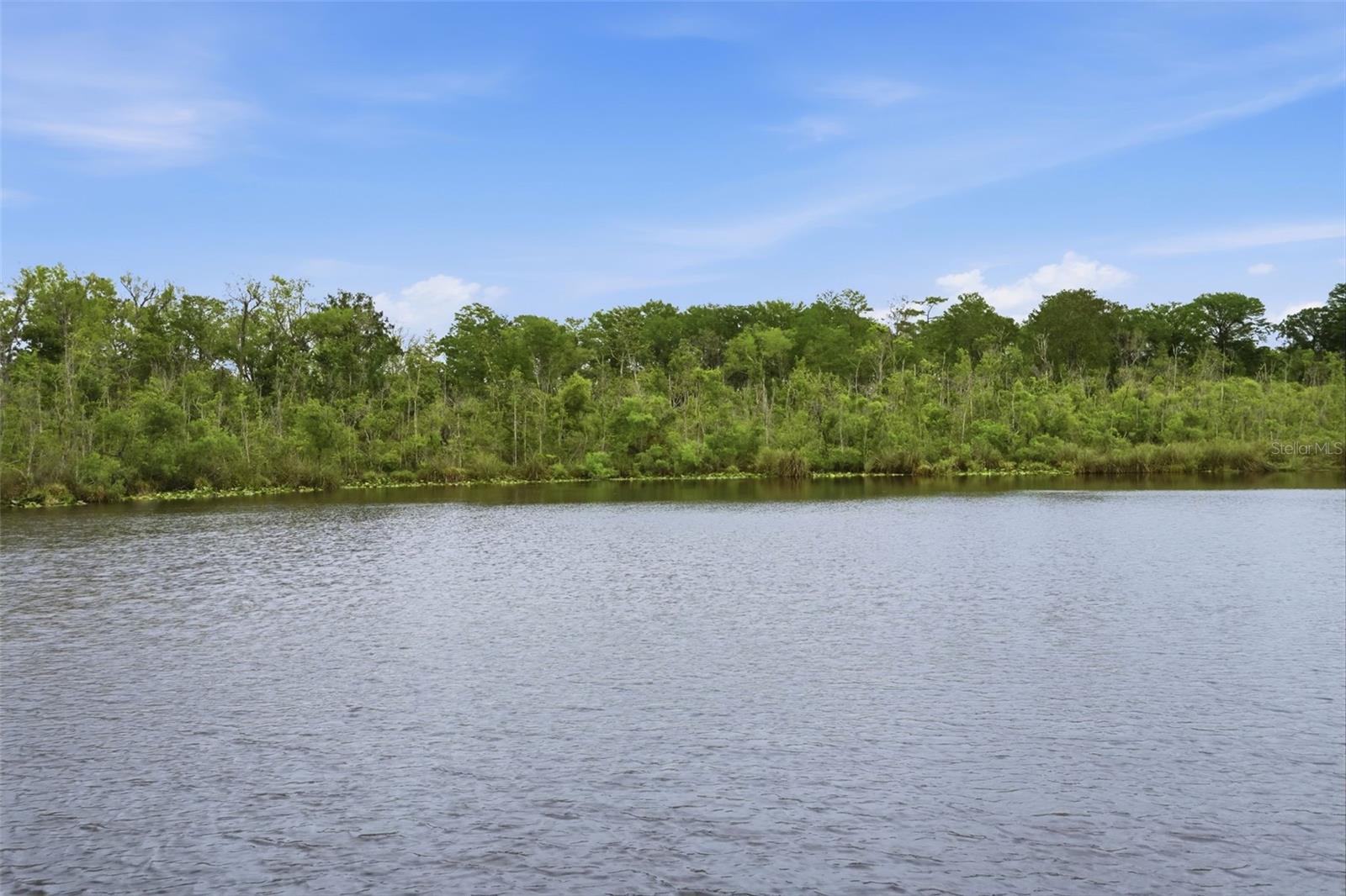Image 60 of 64 For 12417 Coralbean Court