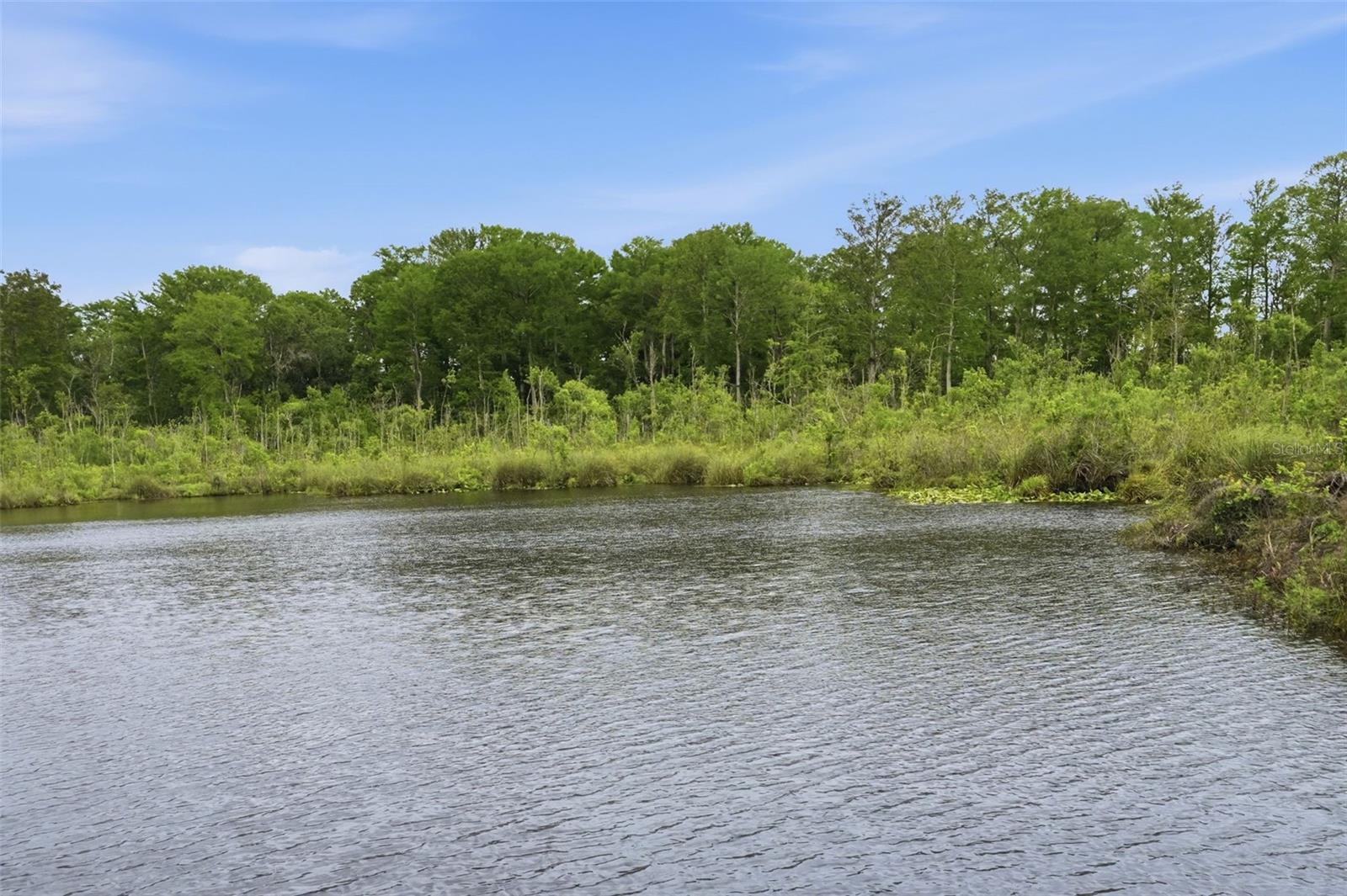 Image 61 of 64 For 12417 Coralbean Court