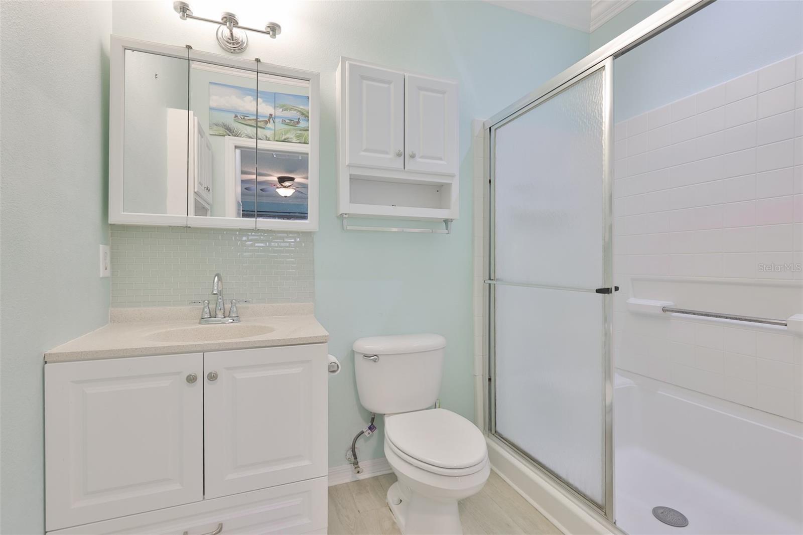 Image 38 of 56 For 1243 Radison Avenue 38