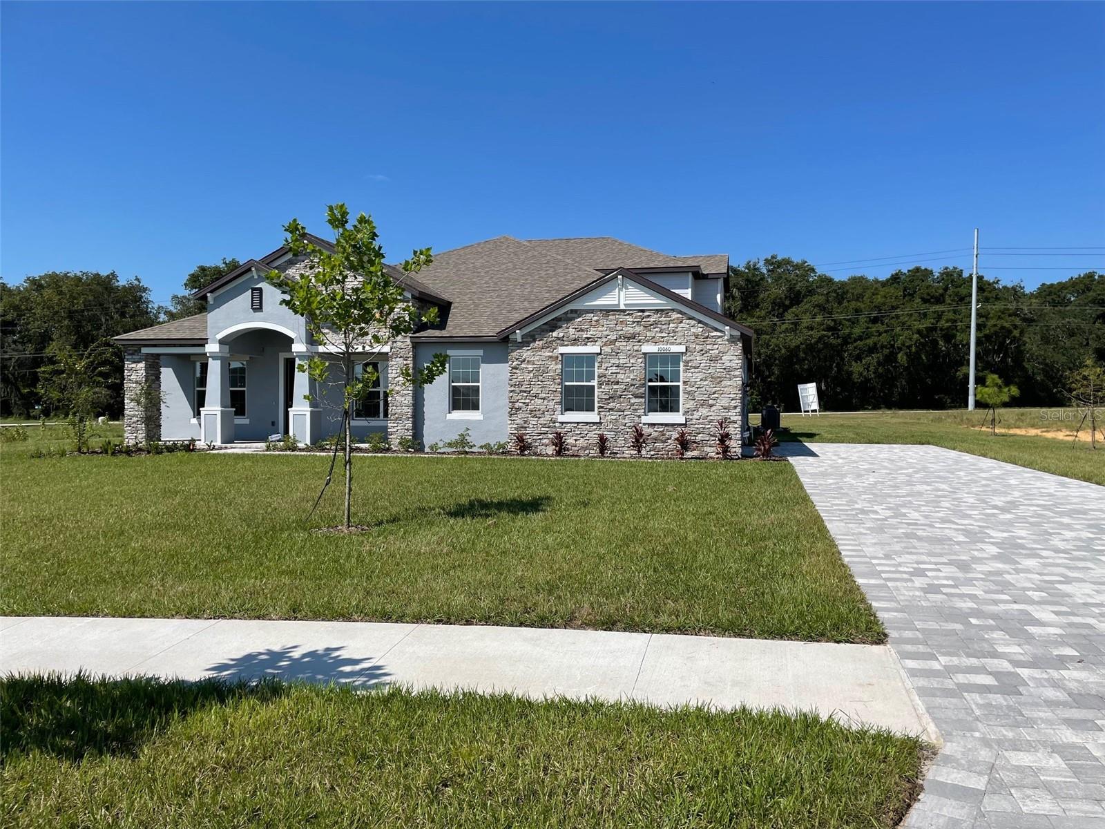 Details for 10060 Dolphin Gull Circle, THONOTOSASSA, FL 33592