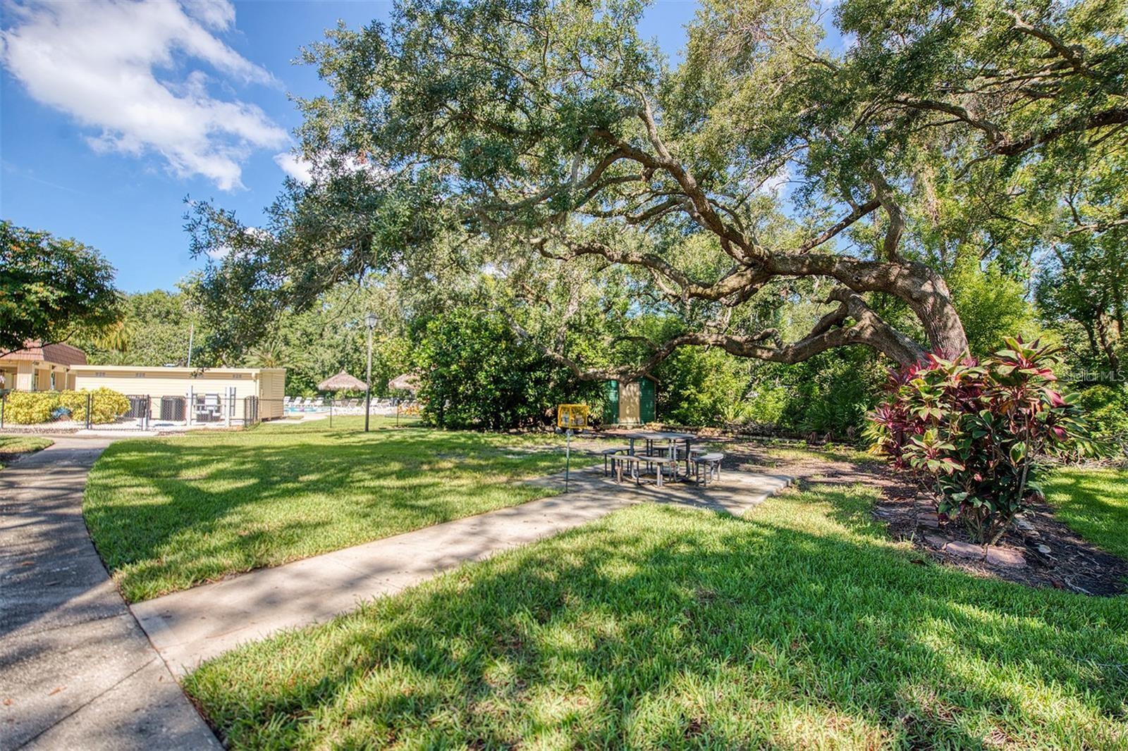 Image 32 of 36 For 89 Cypress Drive 5