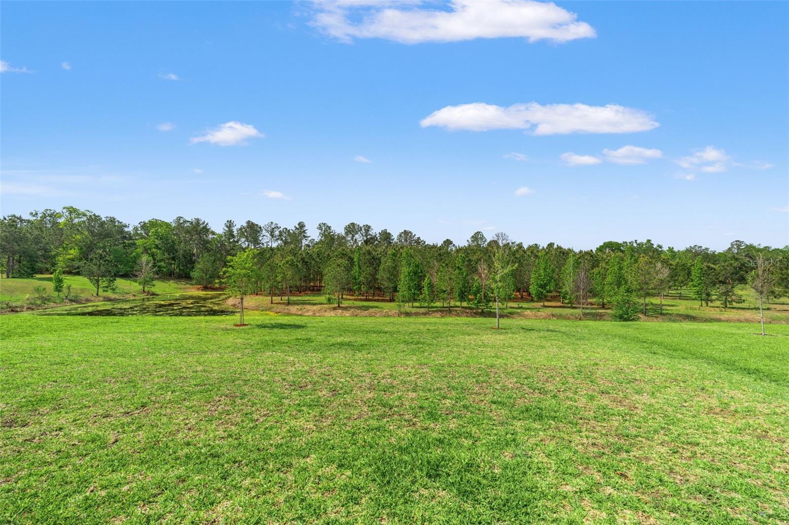 Image 39 of 63 For 4661 Southern Valley Loop