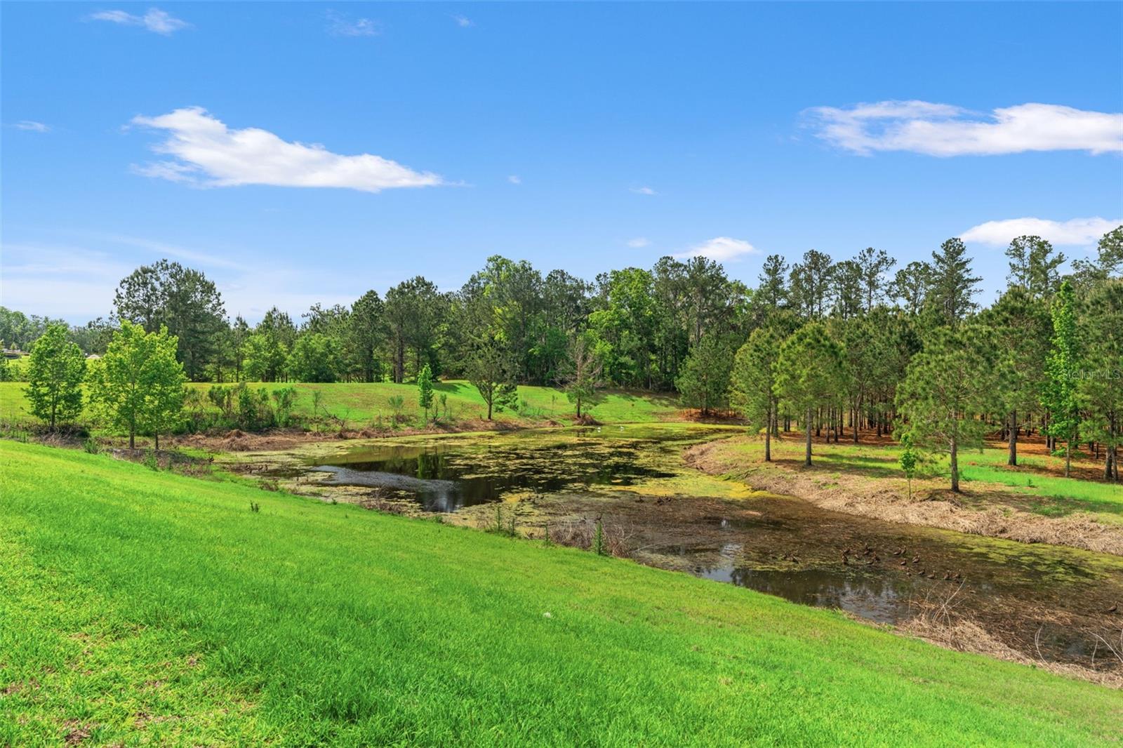 Image 40 of 63 For 4661 Southern Valley Loop