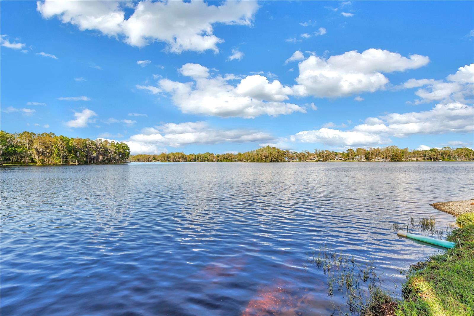 Listing photo id 91 for 7907 Foxcatcher Court