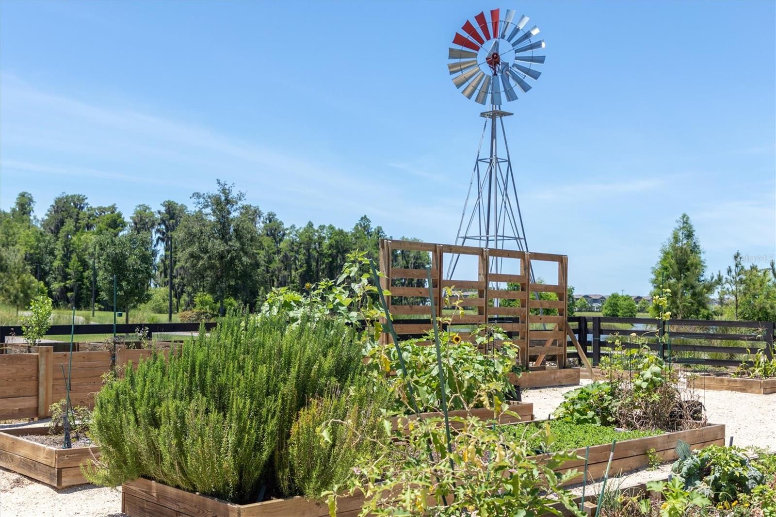 Image 49 of 61 For 3383 Barbour Trail