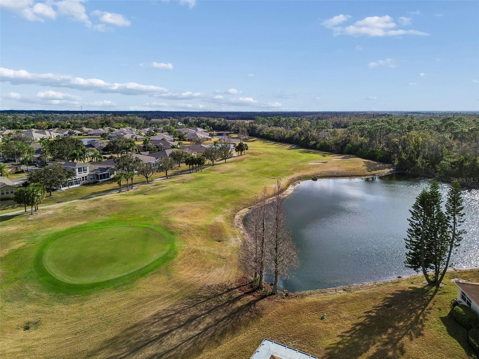 Image 51 of 72 For 2006 Grantham Greens Drive 0