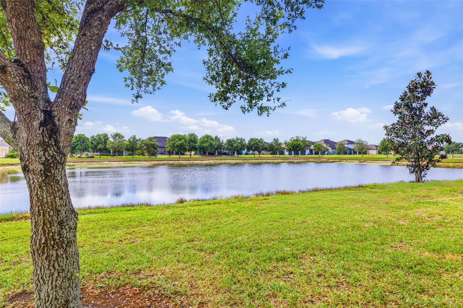 Image 28 of 38 For 9341 American Hickory Lane