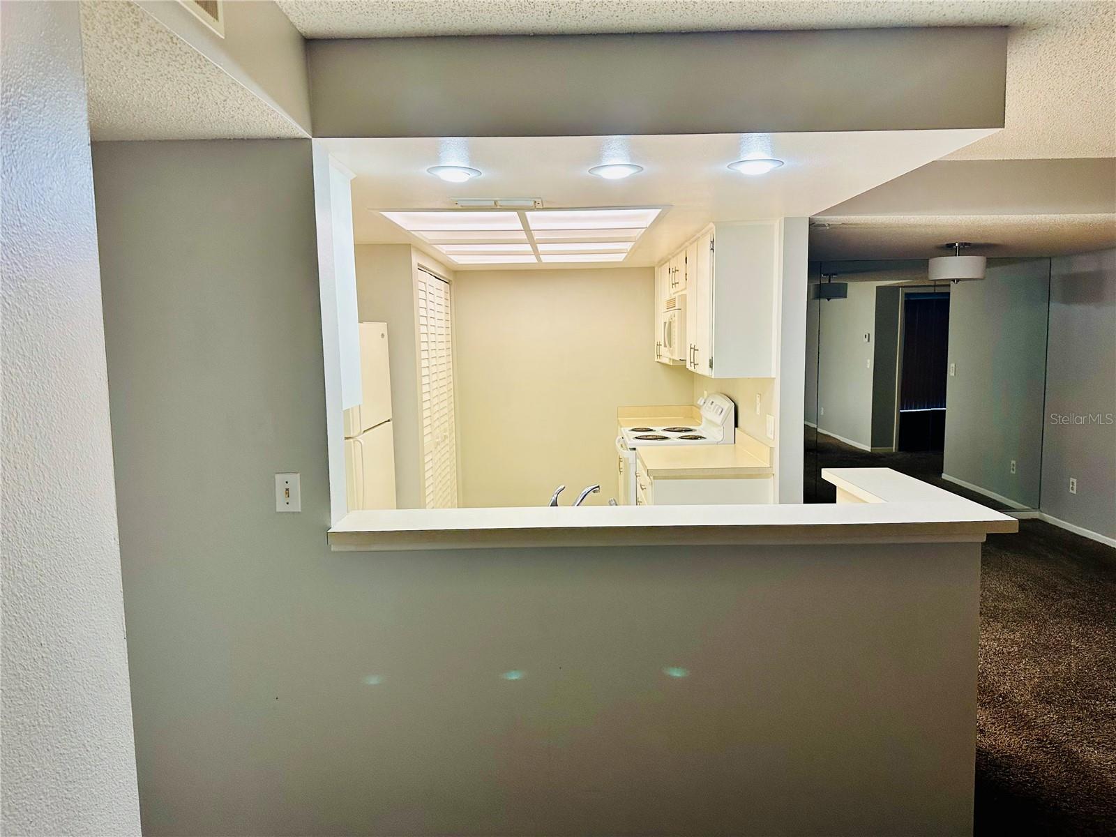 Image 11 of 28 For 13610 Village Drive 4111