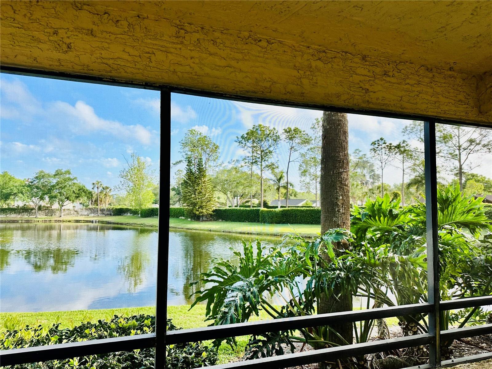 Image 17 of 28 For 13610 Village Drive 4111