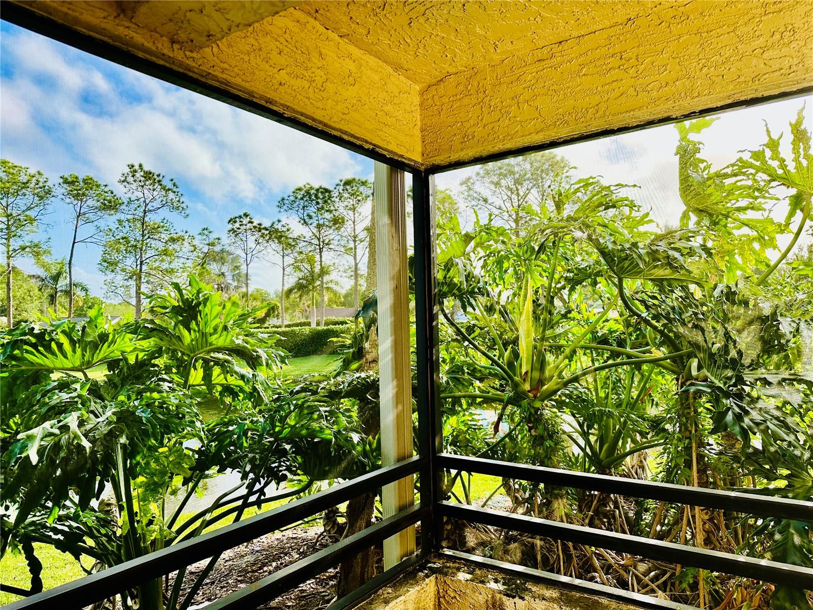 Image 19 of 28 For 13610 Village Drive 4111