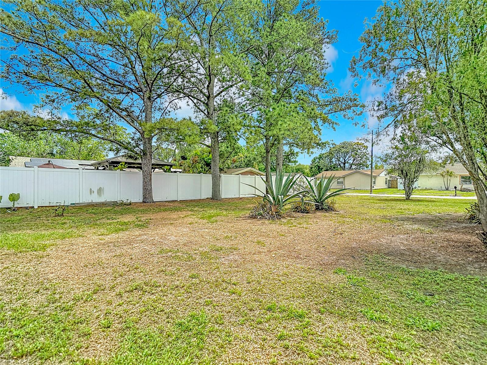 Listing photo id 26 for 14031 Arbor Knoll Circle
