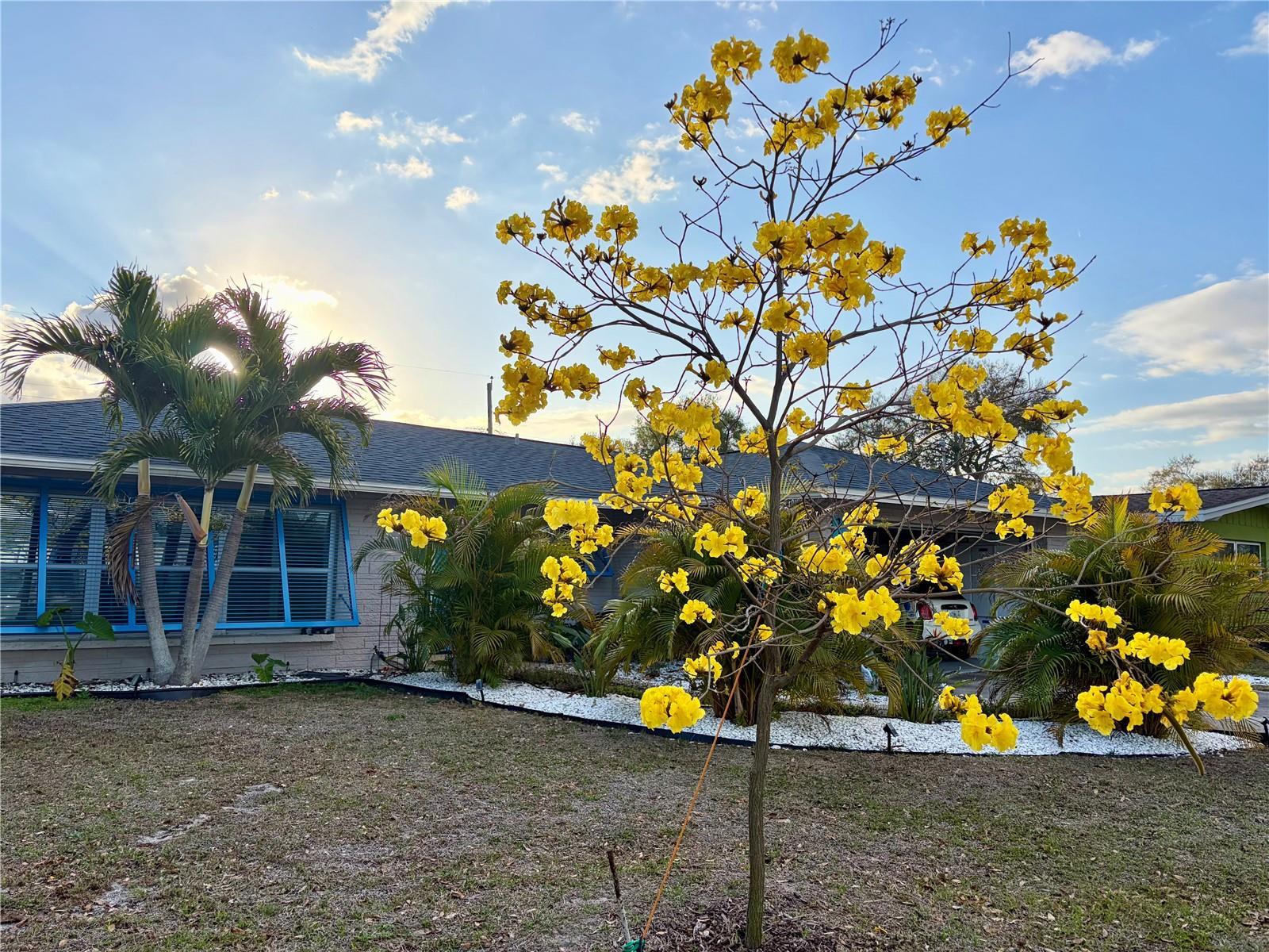 Image 42 of 44 For 1471 San Roy Drive