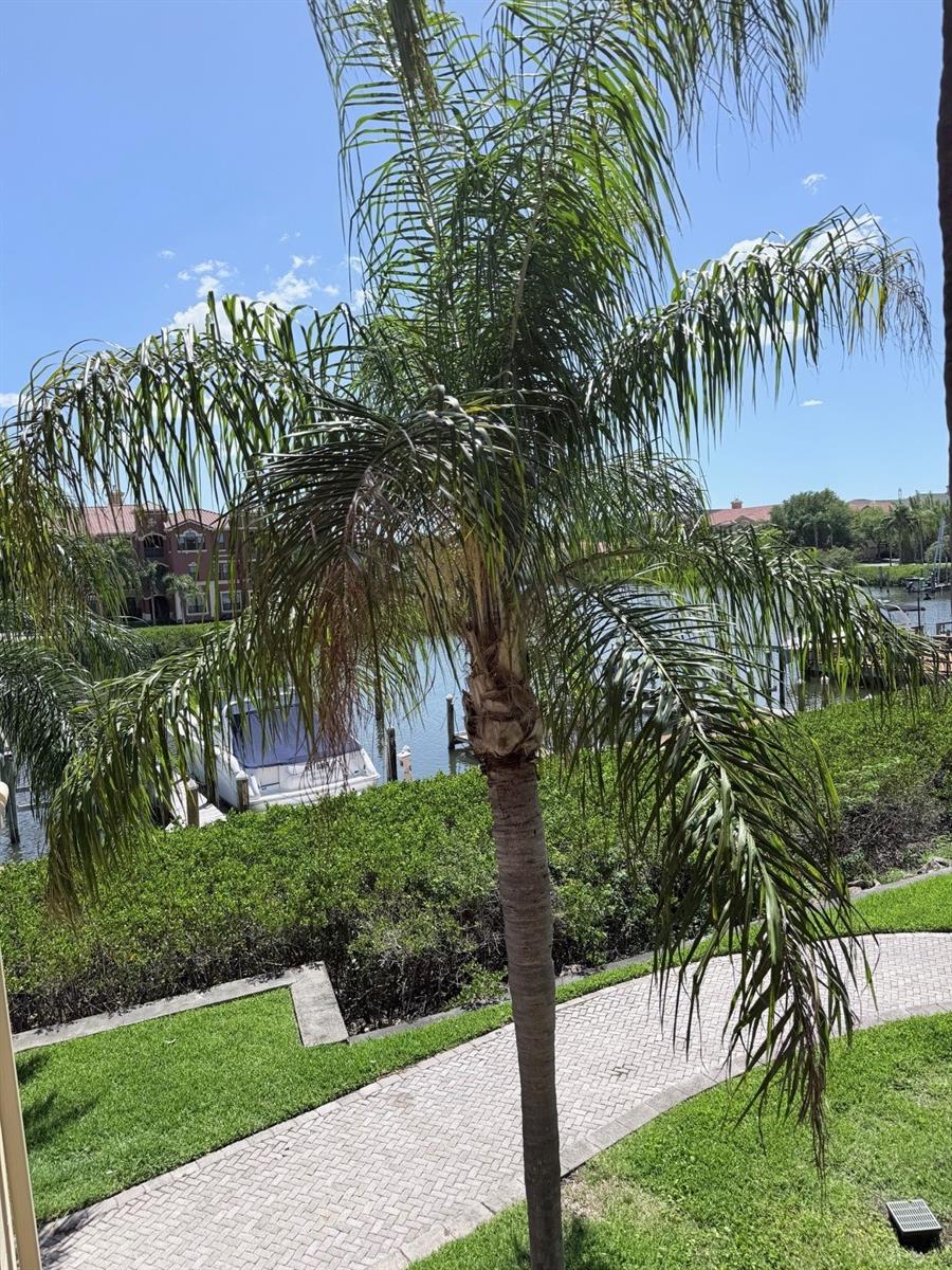 Image 26 of 37 For 2725 Via Cipriani  722a