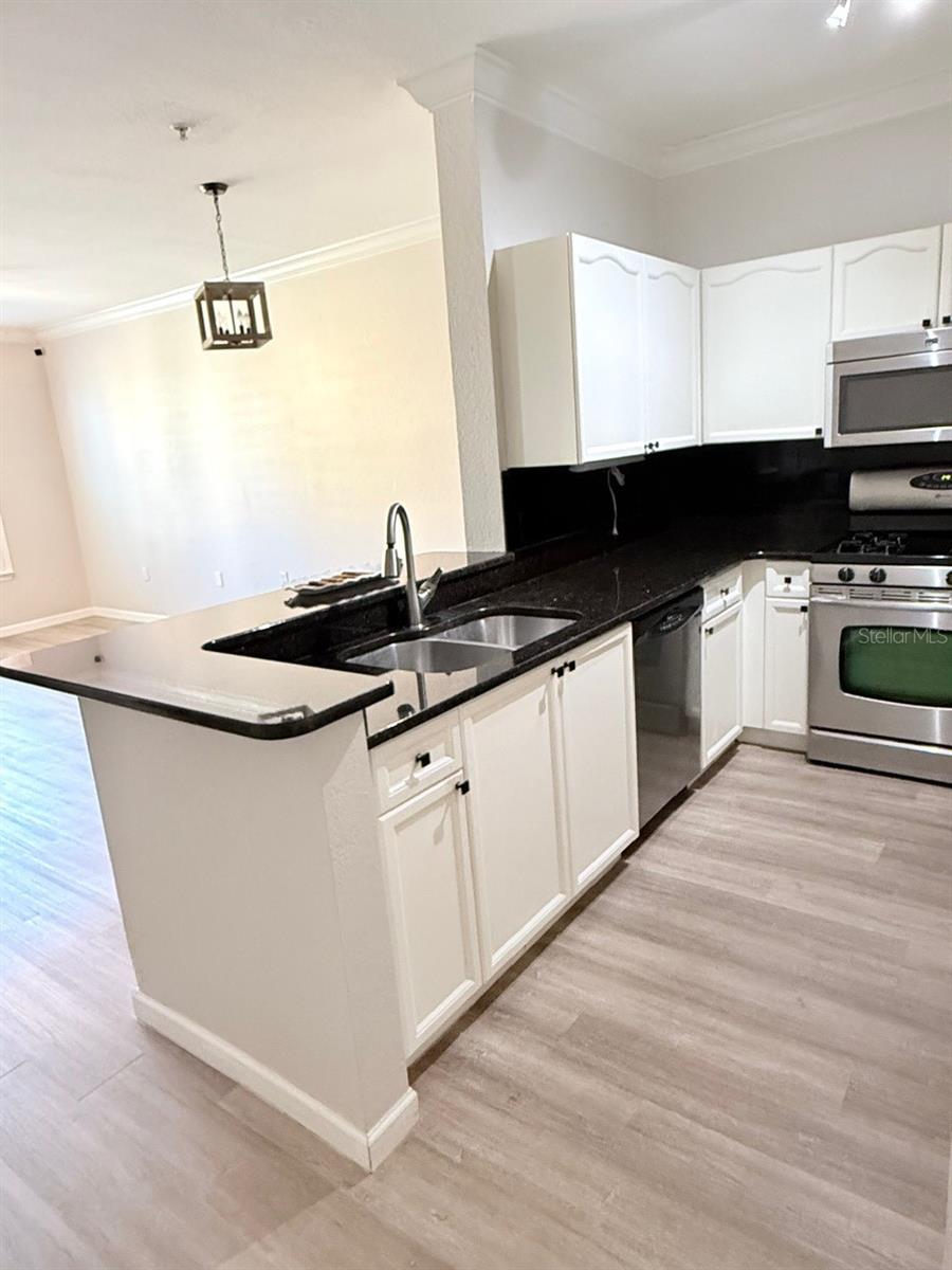 Image 4 of 37 For 2725 Via Cipriani  722a