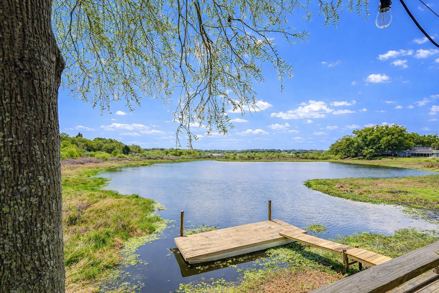 Image 24 of 32 For 1216 Brandon Lakes Avenue