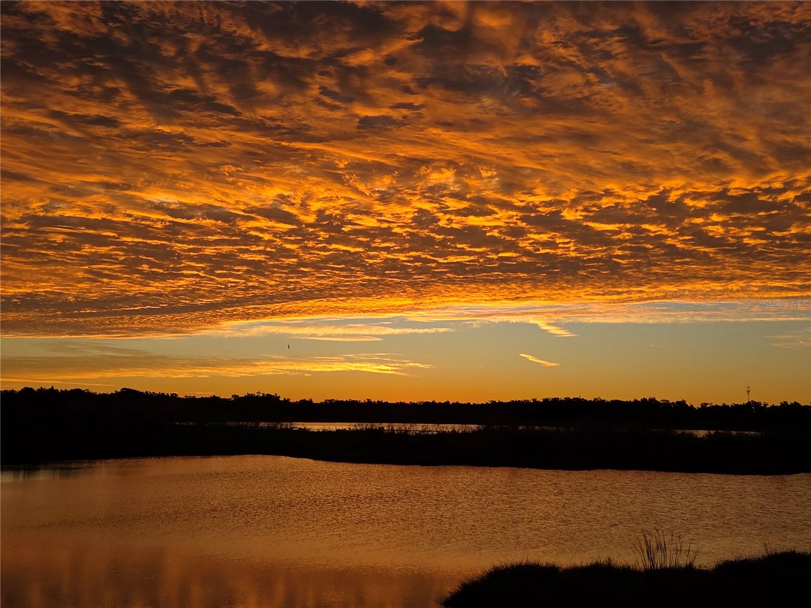 Image 28 of 32 For 1216 Brandon Lakes Avenue