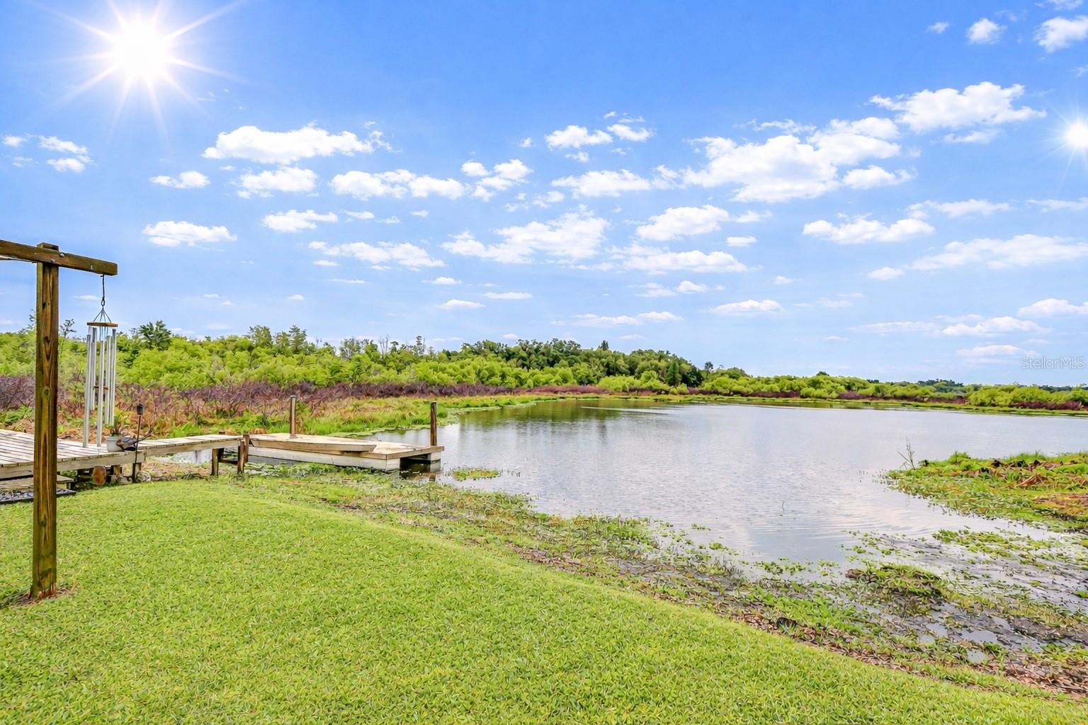 Image 4 of 32 For 1216 Brandon Lakes Avenue